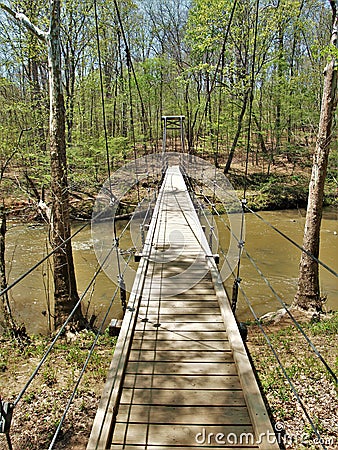 Suspension Bridge in Eno River State Park Stock Photo